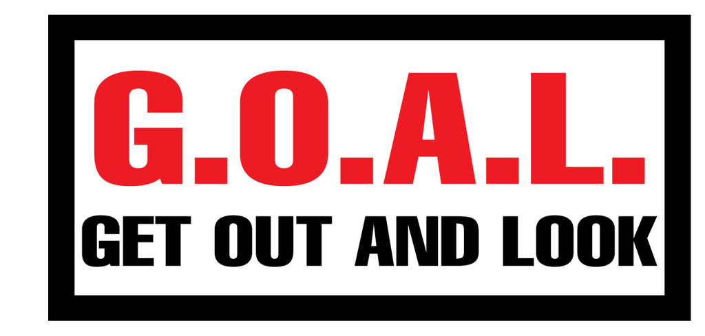 GOAL-4_00 x 1_87