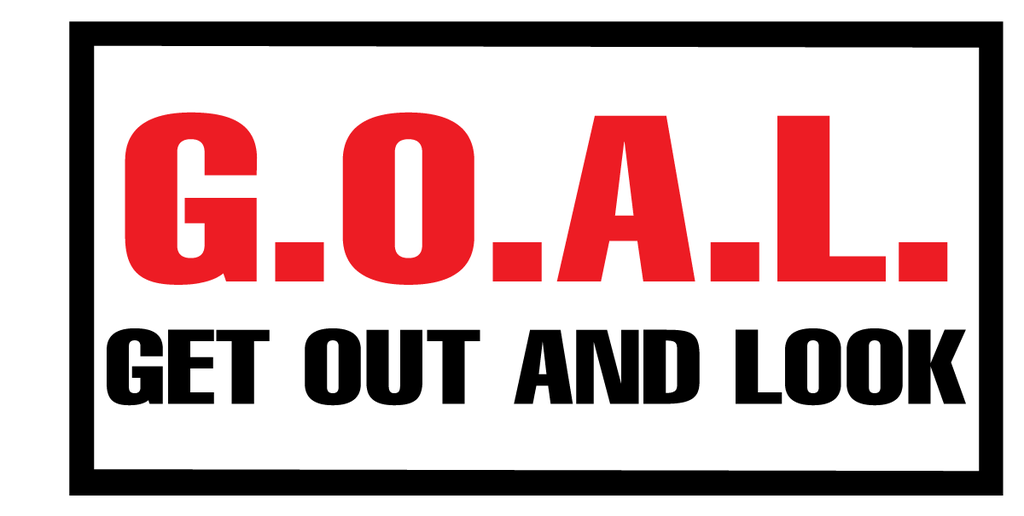 GOAL-4_00 x 2_00