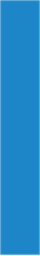Blue Strip-66_56 x 10_28