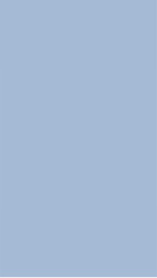 Roof-51_00 x 90_21
