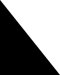 CS01-59_20 x 74_48