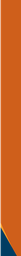 CS6-115_57 x 8_73