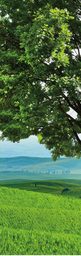 RS01-27_52 x 88_03