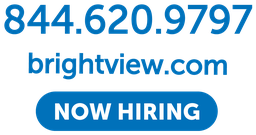 Phone Web Hiring-20_00 x 10_15