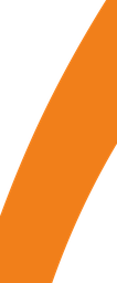 CS01-94_21 x 38_91