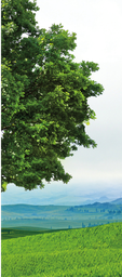 CS_06-30_00 x 69_00