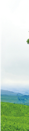 RS_06-15_00 x 69_00