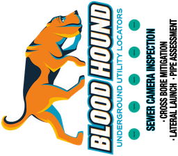 CS Blood Hound Logo-41_28 x 47_35