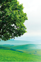 RS02-59_50 x 89_52
