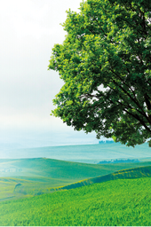 CS02-59_50 x 89_52