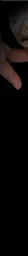 CS3-147_26 x 16_04