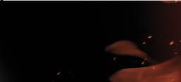 CS5-43_61 x 19_63