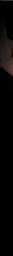 CS8-144_62 x 7_21