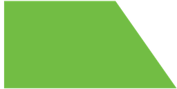 RS02-17_58 x 8_88