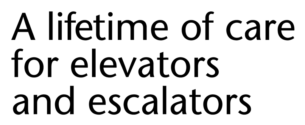 Lifetime Tag-10_01 x 3_92