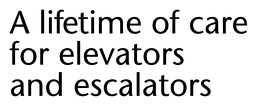 Lifetime Tag-10_01 x 3_92