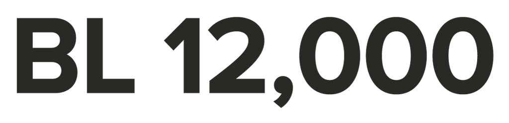 BL12000-9_96 x 1_85