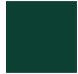 CSRS06-5_00 x 5_00