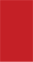 Roof02-69_83 x 38_00
