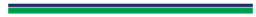 Rear Stripe-23_63 x 0_88