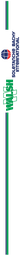 SBI Passenger Side Logo and Stripe