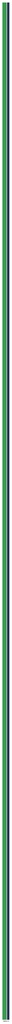 CSRS Stripe-144_01 x 0_88