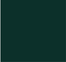 CS03-31_65 x 33_34