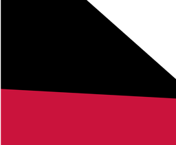 CS2-29_00 x 24_00