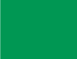 CSRS01-43_25 x 33_00