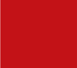 CSRS-Door-56_85 x 63_83
