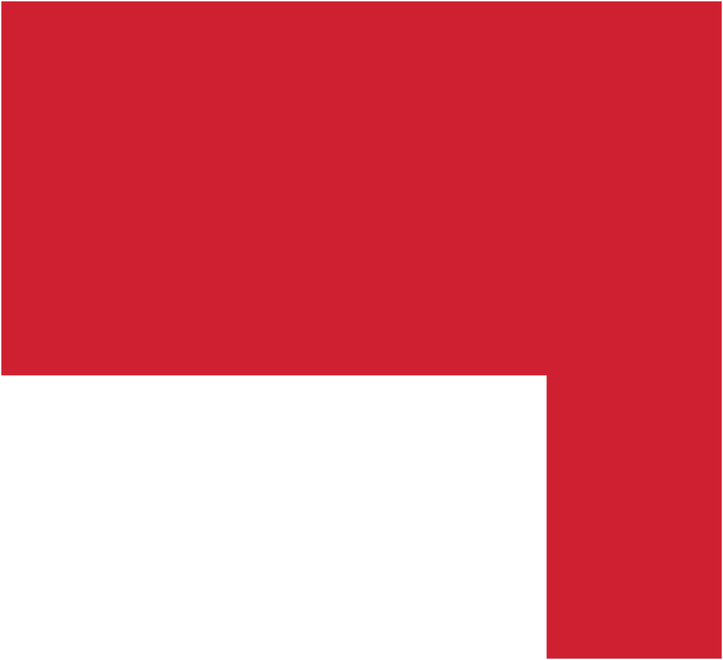 RS 4-47_00 x 42_82