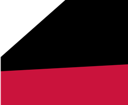RS2-29_00 x 24_00